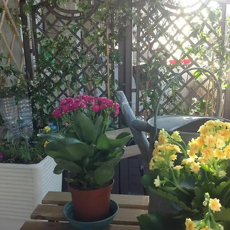Interno 8
